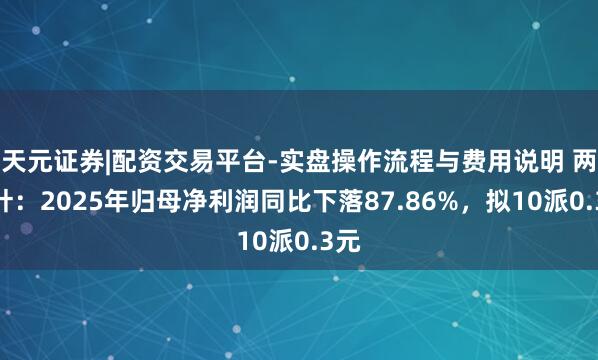天元证券|配资交易平台-实盘操作流程与费用说明 两面针：2025年归母净利润同比下落87.86%，拟10派0.3元
