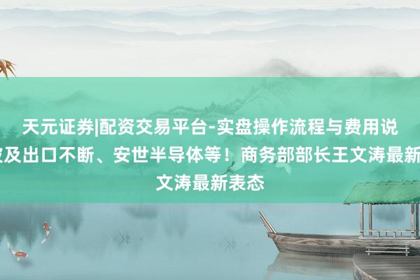 天元证券|配资交易平台-实盘操作流程与费用说明 波及出口不断、安世半导体等！商务部部长王文涛最新表态