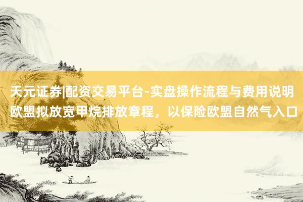 天元证券|配资交易平台-实盘操作流程与费用说明 欧盟拟放宽甲烷排放章程，以保险欧盟自然气入口