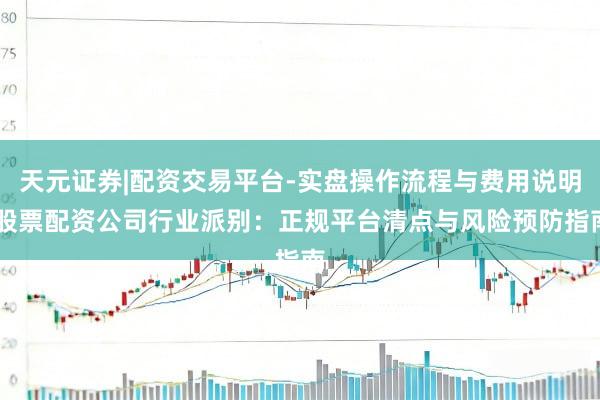 天元证券|配资交易平台-实盘操作流程与费用说明 股票配资公司行业派别：正规平台清点与风险预防指南
