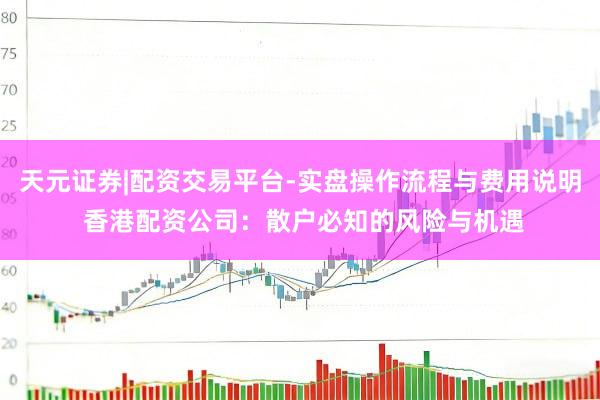 天元证券|配资交易平台-实盘操作流程与费用说明 香港配资公司：散户必知的风险与机遇
