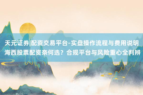 天元证券|配资交易平台-实盘操作流程与费用说明 海西股票配资奈何选？合规平台与风险重心全判辨